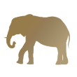 elephant-icon-pico-southboundexperience