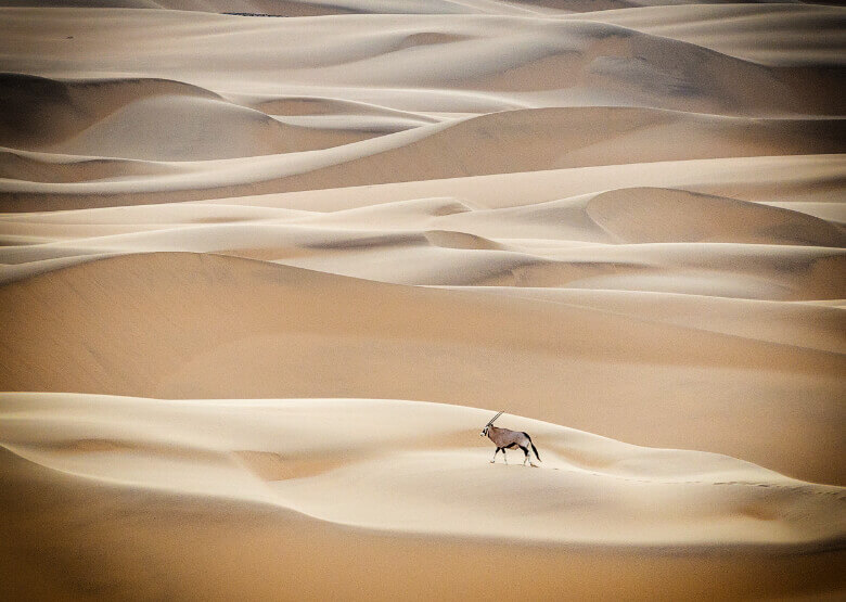 Wüste Afrika